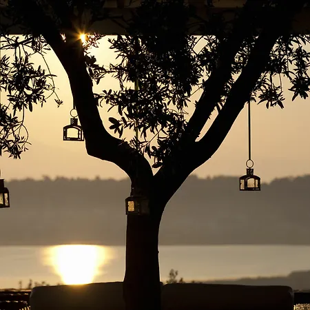 The Editor's - Member Of Spiritual Living Corfu Virós